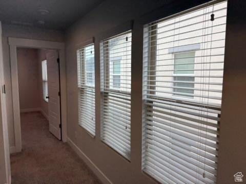 6396 W Sugarcane Dr W Unit 345, South Jordan, UT 84009 - hall featuring baseboards and carpet flooring