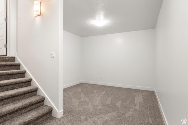 4584 W Daybreak Rim Way S, Jordan, UT 84009 - below grade area with carpet flooring, stairs, baseboards, and a textured ceiling