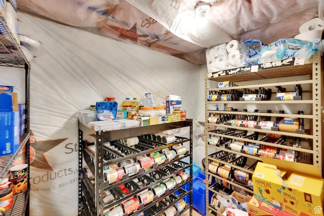 7208 N Silver Spring Way, Eagle Mountain, UT 84005 - view of storage