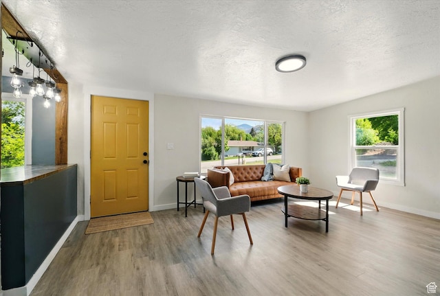 148 E 200 S, Providence, UT 84332 - living room with wood finished floors, a textured ceiling, and baseboards