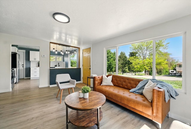 148 E 200 S, Providence, UT 84332 - living area featuring light wood-style floors, healthy amount of natural light, and baseboards