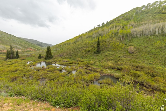 10758 E Miles Goodyear Dr Unit H 263, Huntsville, UT 84317