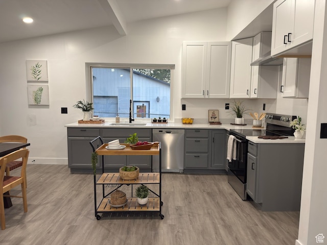 4868 W Seneca Rd S, West Valley City, UT 84120 - kitchen featuring appliances with stainless steel finishes, a sink, gray cabinetry, light wood-style flooring, and light countertops