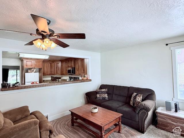 64 S 300 E, Preston, ID 83263 - living room with a textured ceiling, healthy amount of natural light, and ceiling fan