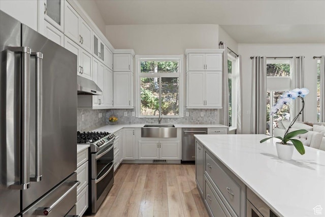 14771 S Brewster Dr, Draper, UT 84020 - kitchen with appliances with stainless steel finishes, a sink, under cabinet range hood, light wood-type flooring, and light countertops