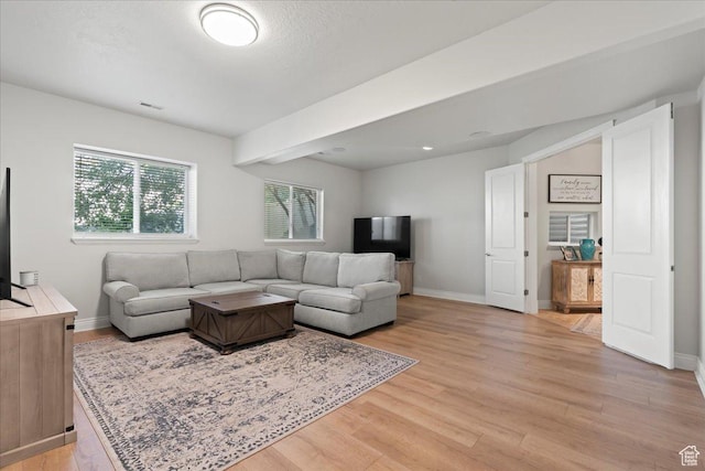 14771 S Brewster Dr, Draper, UT 84020 - living room with light wood-style flooring and baseboards