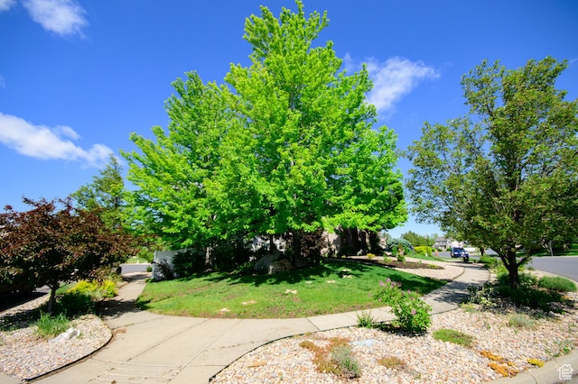 2763 N Hills Dr, Layton, UT 84040 - view of grassy yard