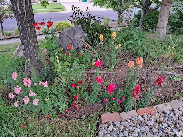 2763 N Hills Dr, Layton, UT 84040 - view of yard