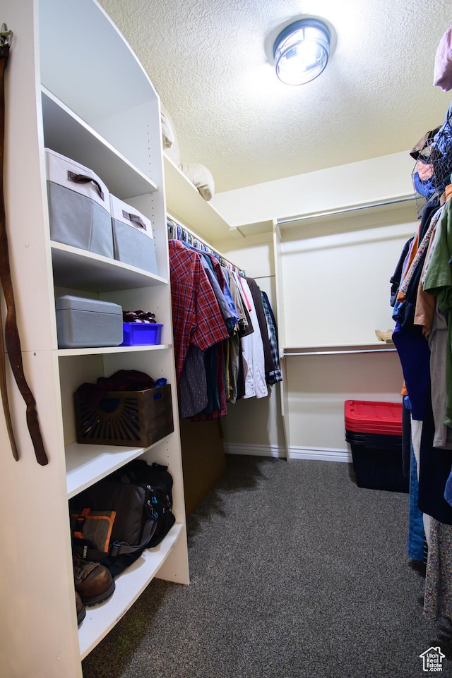 2763 N Hills Dr, Layton, UT 84040 - spacious closet featuring carpet
