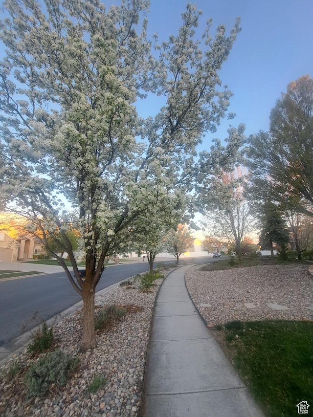 2763 N Hills Dr, Layton, UT 84040 - view of surrounding community