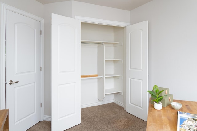 917 E Grape Ivy Way S, Millcreek, UT 84106 - view of closet
