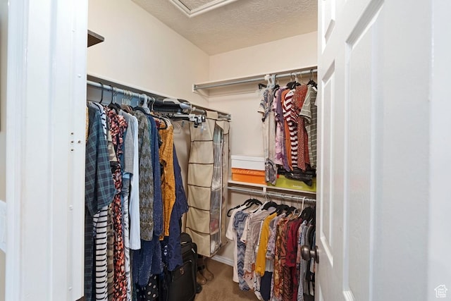 1516 N Willow Valley Dr W, Centerville, UT 84014 - spacious closet featuring carpet flooring