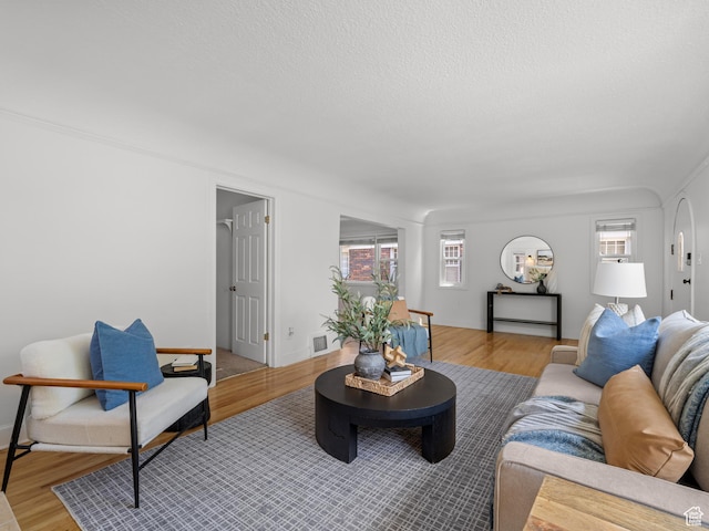 1067 S 400 E, Salt Lake City, UT 84111 - living area featuring light wood finished floors and a textured ceiling