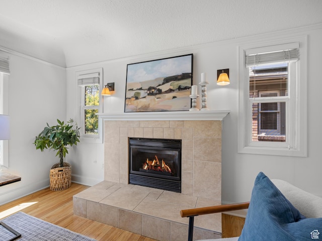 1067 S 400 E, Salt Lake City, UT 84111 - living room with a fireplace and wood finished floors