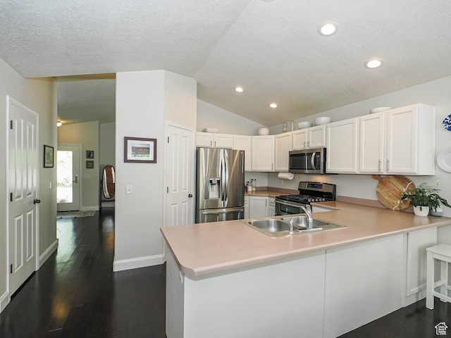 3129 S Eagle Rock Way W, West Valley City, UT 84120 - kitchen with appliances with stainless steel finishes, a peninsula, lofted ceiling, a sink, and light countertops