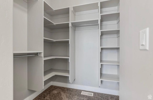 4957 N Sage Dr, Eagle Mountain, UT 84005 - walk in closet with carpet