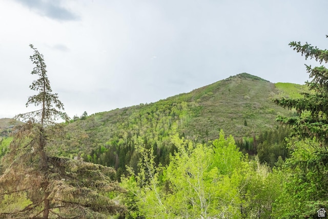 7189 N Hitching Post Dr W, Park City, UT 84098 - mountain view featuring a forest
