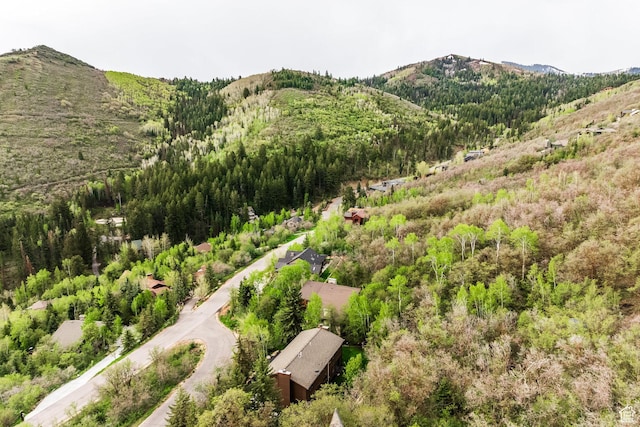 7189 N Hitching Post Dr W, Park City, UT 84098 - mountain view