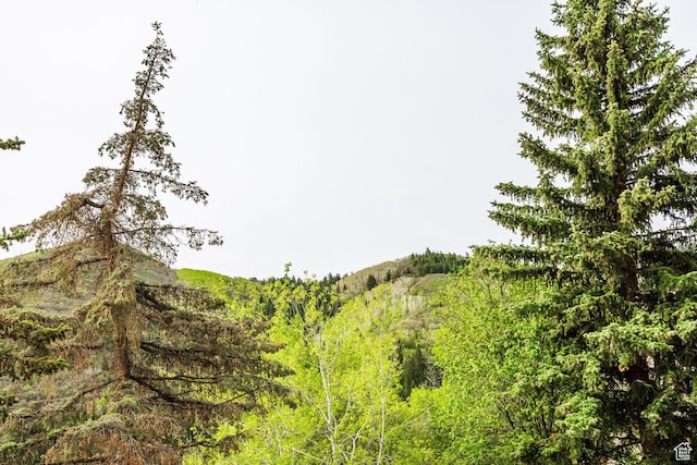 7189 N Hitching Post Dr W, Park City, UT 84098 - view of nature