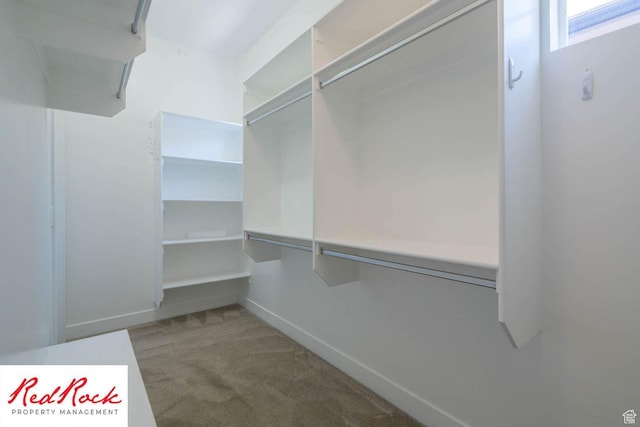 0, St. George, UT 84790 - walk in closet with carpet floors