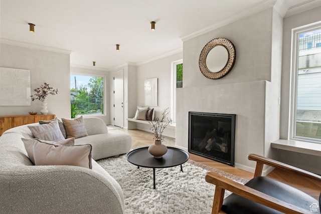 520 N H St E, Salt Lake City, UT 84103 - living room with plenty of natural light, light wood-style floors, crown molding, and a fireplace