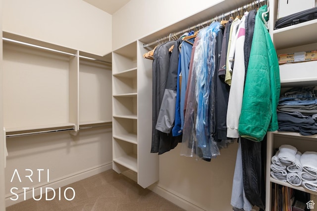 280 S Luce Del Sol Dr Unit 316, St George, UT 84770 - walk in closet featuring carpet floors