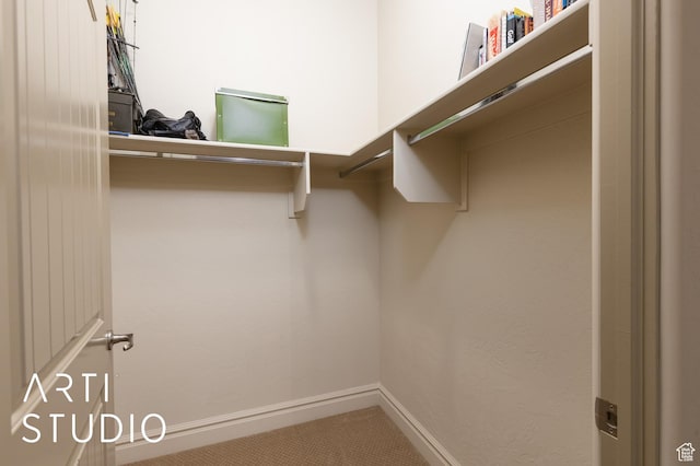 280 S Luce Del Sol Dr Unit 316, St George, UT 84770 - walk in closet featuring carpet