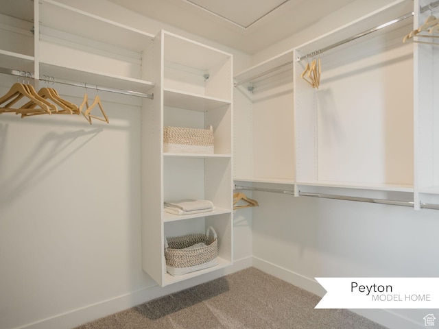 1549 W Boseman Way Unit 601, Saratoga Springs, UT 84045 - spacious closet featuring carpet flooring