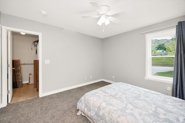 304 N 1000 E, Hyde Park, UT 84318 - bedroom with carpet floors, baseboards, and a ceiling fan
