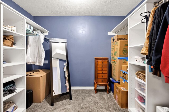 304 N 1000 E, Hyde Park, UT 84318 - spacious closet with carpet floors
