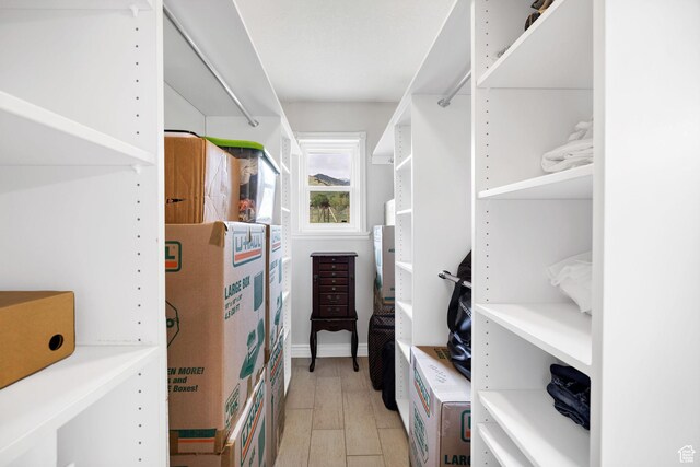 304 N 1000 E, Hyde Park, UT 84318 - spacious closet with light wood-style floors