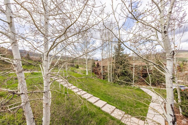 8430 Gambel Dr Unit Q23, Park City, UT 84098 - view of yard