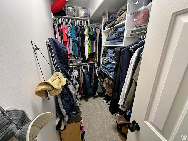 8675 S Pebblecreek Rd, West Jordan, UT 84081 - walk in closet with carpet