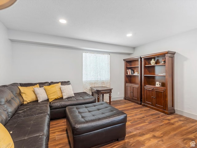 223 E 200 N, Ephraim, UT 84627 - living room with dark wood finished floors, baseboards, and recessed lighting