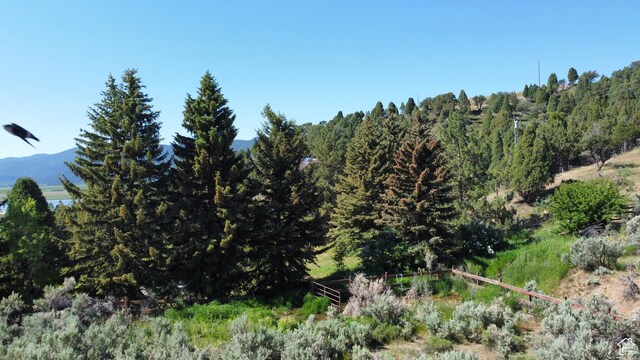 Soda Springs, ID 83276 - photo 3