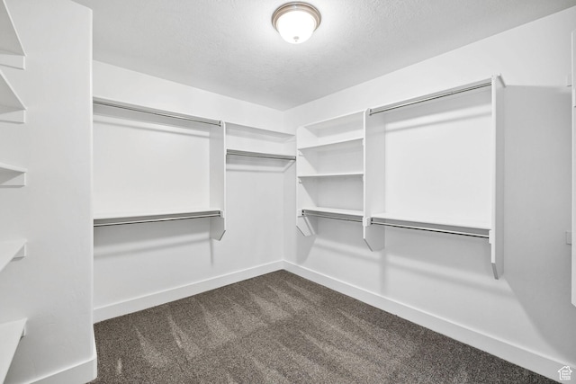 818 S 560 E, Providence, UT 84332 - walk in closet with dark carpet
