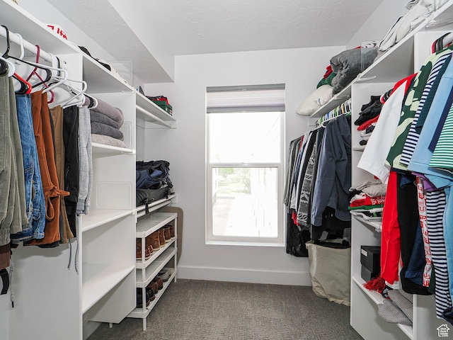 423 E 2100 S Unit 204, Salt Lake City, UT 84115 - spacious closet featuring carpet floors