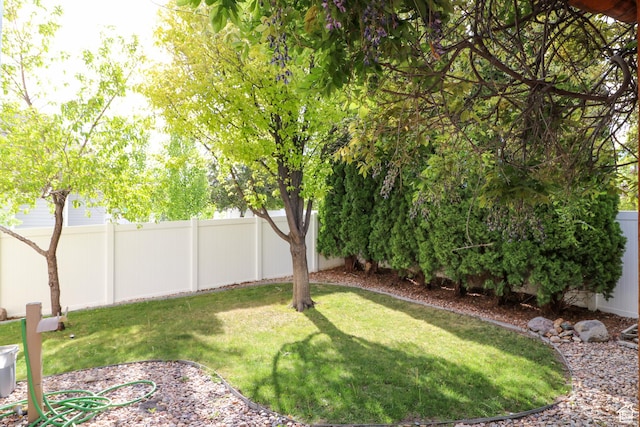 6466 W 8375 S, West Jordan, UT 84081 - view of yard
