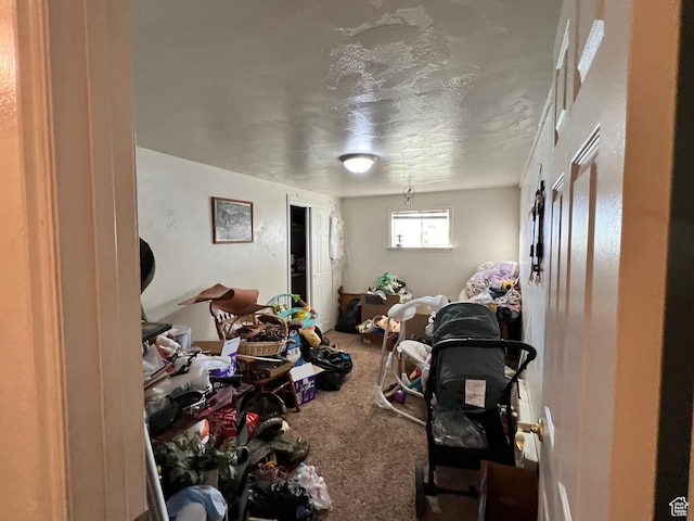 145 N 200 W, Roosevelt, UT 84066 - living room with carpet flooring