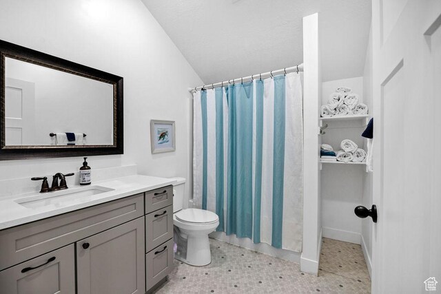 670 N Lake Sight Dr, Garden City, UT 84028 - bathroom with lofted ceiling, toilet, vanity, and a shower with shower curtain