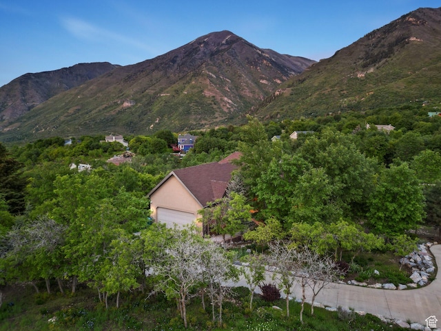 740 S Oak Dr, Woodland Hills, UT 84653 - view of mountain backdrop
