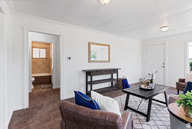 333 S 100 W, Payson, UT 84651 - carpeted living room with crown molding, a textured ceiling, and baseboards
