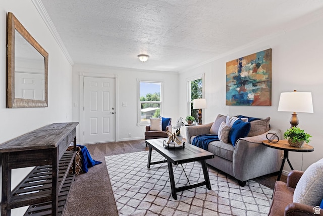 333 S 100 W, Payson, UT 84651 - living room featuring ornamental molding, light colored carpet, a textured ceiling, and baseboards
