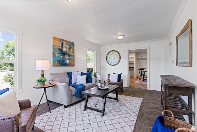 333 S 100 W, Payson, UT 84651 - living area with light colored carpet, baseboards, ornamental molding, and a textured ceiling