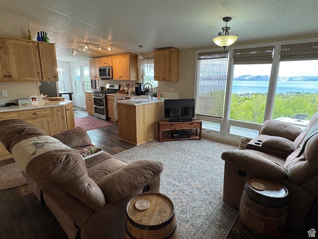 46 Alder Ct Unit 638, Fish Haven, ID 83287 - living room with dark wood finished floors and a textured ceiling
