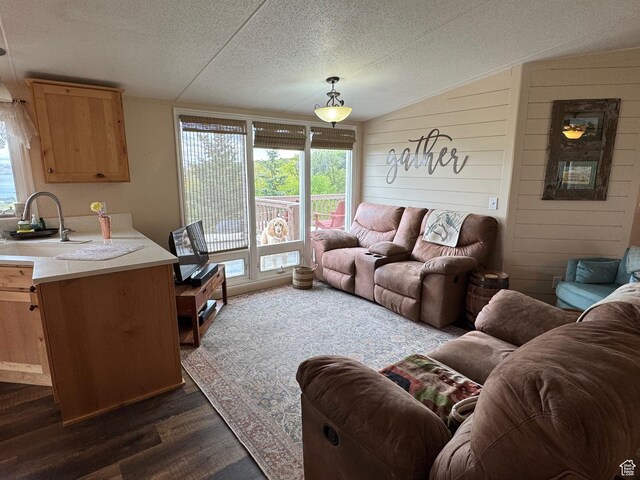 46 Alder Ct Unit 638, Fish Haven, ID 83287 - living area with dark wood-style floors, a textured ceiling, and vaulted ceiling
