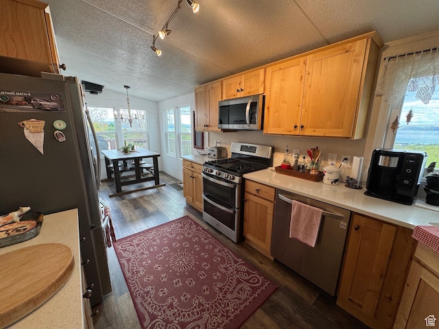 46 Alder Ct Unit 638, Fish Haven, ID 83287 - kitchen with stainless steel appliances, lofted ceiling, a chandelier, a textured ceiling, and dark wood-style flooring