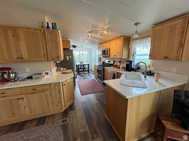 46 Alder Ct Unit 638, Fish Haven, ID 83287 - kitchen featuring appliances with stainless steel finishes, a sink, a peninsula, dark wood-style flooring, and a textured ceiling