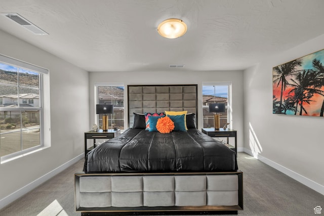 1189 N Bello Aly, Washington, UT 84780 - bedroom with carpet floors, multiple windows, and baseboards