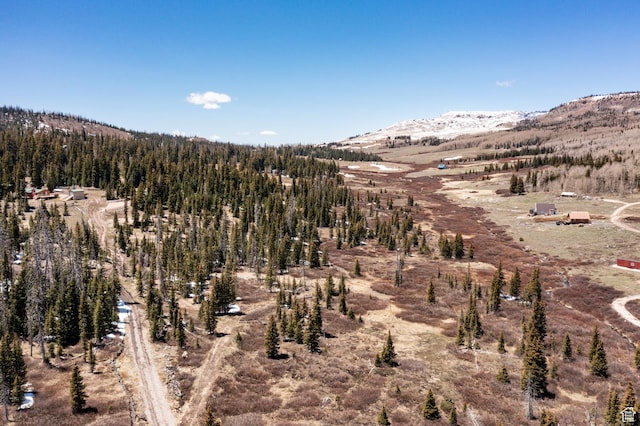 Unit 24, 51, Brian Head, UT 84719